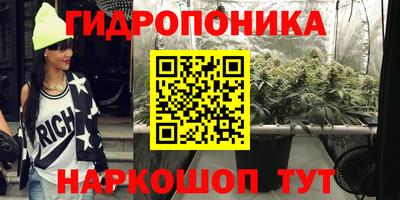 гашиш Новодвинск