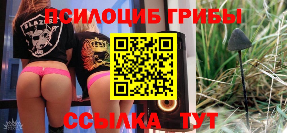 Псилоцибиновые грибы Magic Shrooms  Вход с VPN  Алейск 